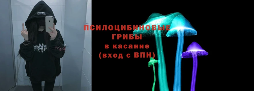 наркотики  Родники  Галлюциногенные грибы Psilocybe 